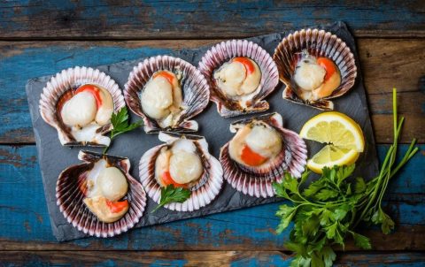 Hokkaido Scallop – A Tasty Realm Of Seafood Luxury From The Land Of The Rising Sun